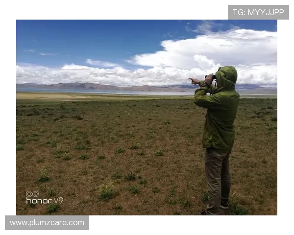 《娘心》：一部荡气回肠的女性史诗，穿越时代的心灵震撼