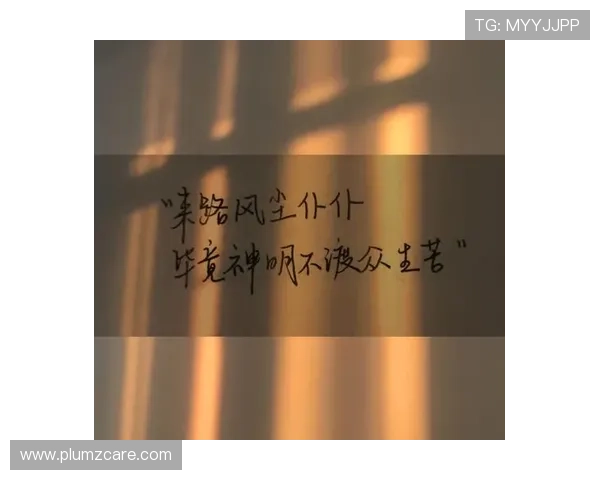 《冬至》：迷雾重重，人性深渊，一场关于救赎与毁灭的极致博弈