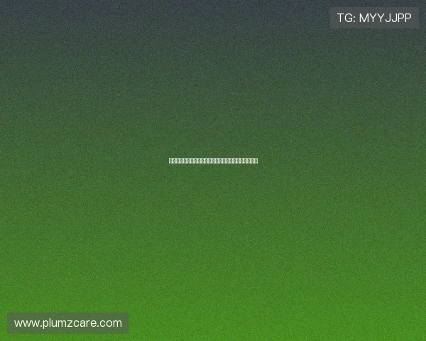 《苍狼》:荧屏上的群星璀璨,一部荡气回肠的英雄史诗 《苍狼》:荧屏上的群星璀璨,一部荡气回肠的英雄史诗